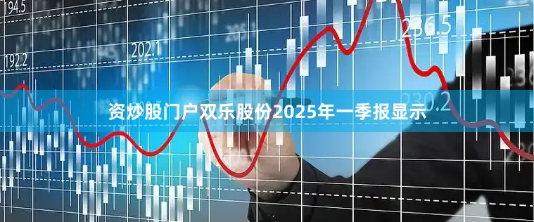 资炒股门户双乐股份2025年一季报显示