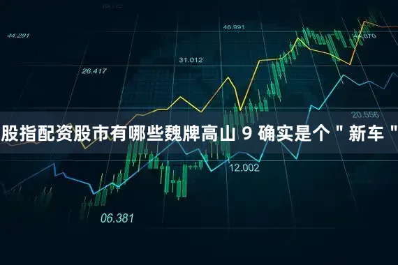 股指配资股市有哪些魏牌高山 9 确实是个＂新车＂
