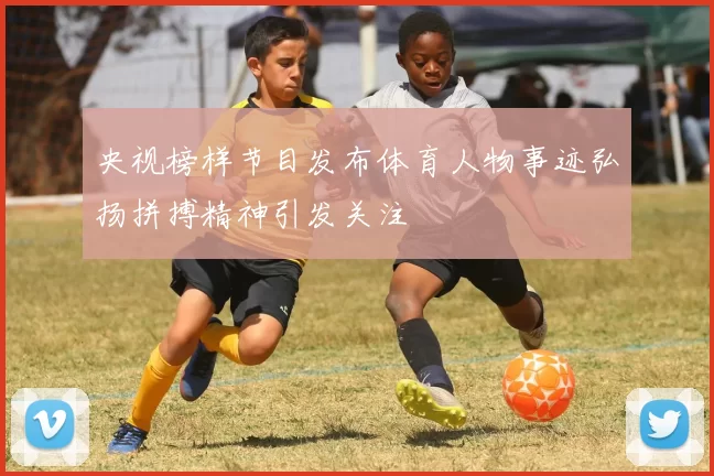央视榜样节目发布体育人物事迹弘扬拼搏精神引发关注