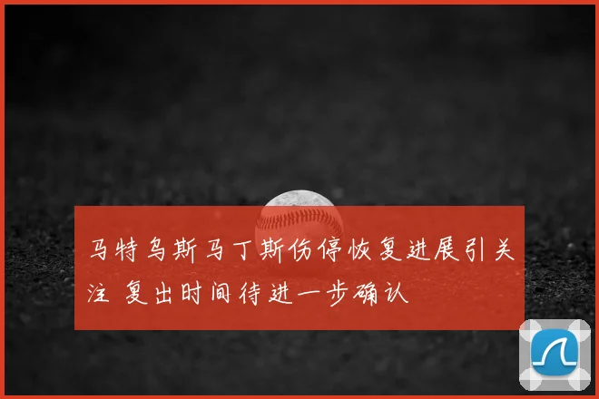马特乌斯马丁斯伤停恢复进展引关注 复出时间待进一步确认