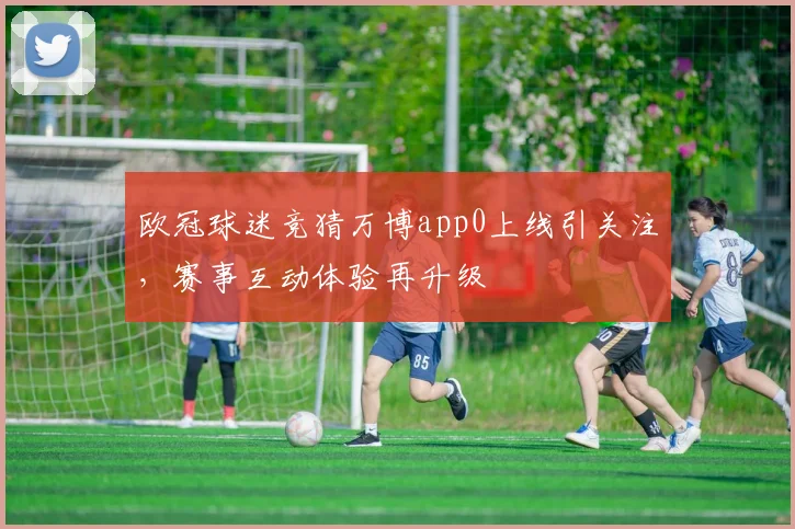 欧冠球迷竞猜万博app0上线引关注，赛事互动体验再升级