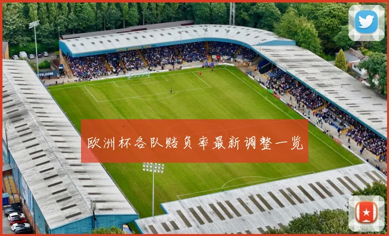 欧洲杯各队赔负率最新调整一览