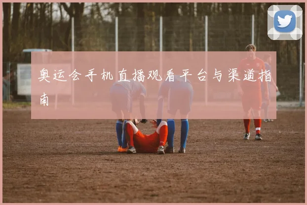 奥运会手机直播观看平台与渠道指南